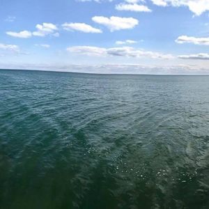 Meet your Posher, Milton